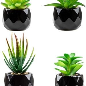 Artificial Plants